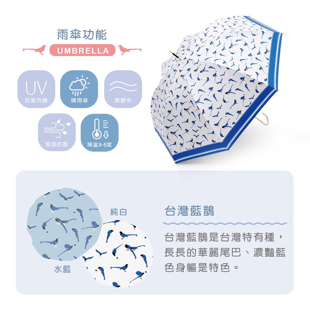 【周周生活】雨傘 現貨 自動傘 遮陽傘 陽傘 台灣藍鵲 直傘 晴雨傘 抗uv 傘 輕量雨傘 wpc傘 日本雨傘 快速出貨, , large