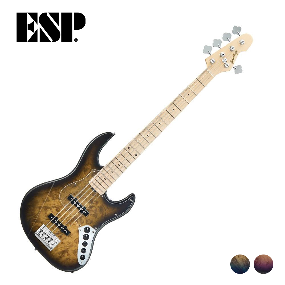 ESP GrassRoots G-AMAZE 5 GCB-5 NDBLSB