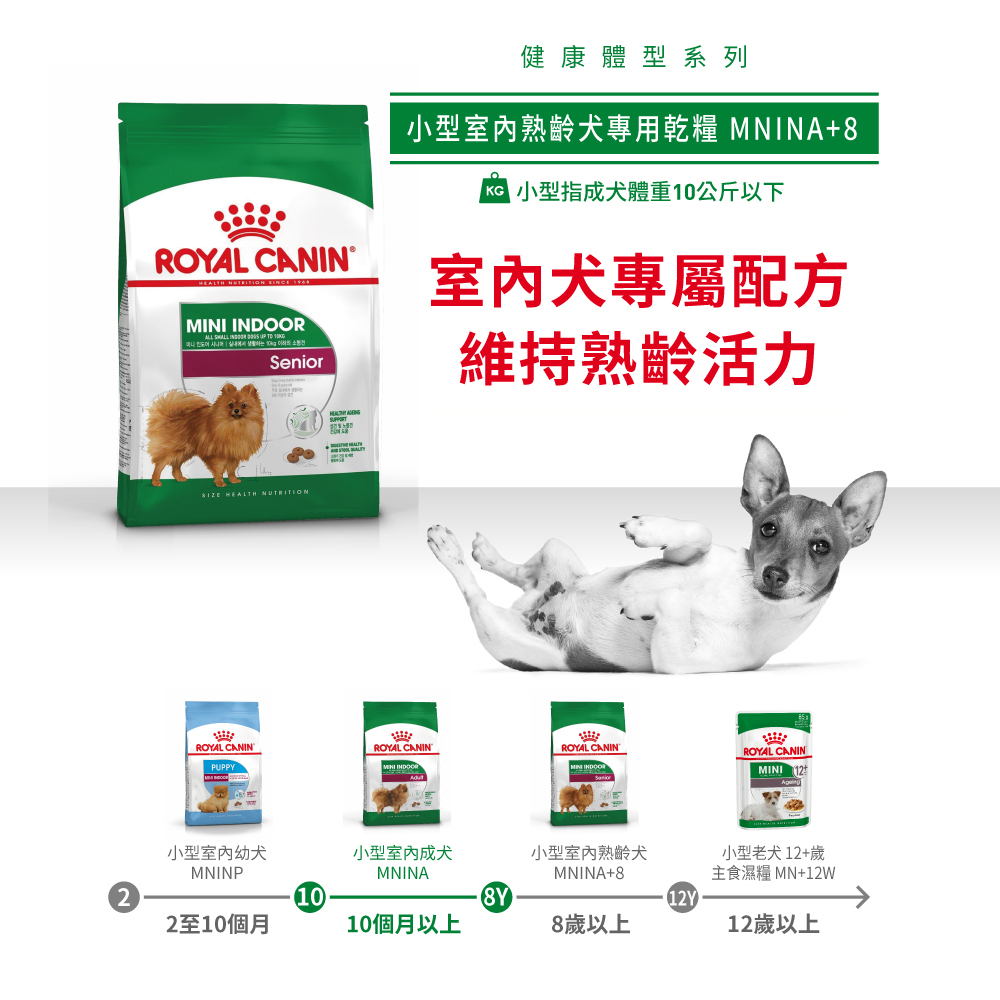 Royal Canin法國皇家小型室內熟齡犬8+MNINA+8, , large