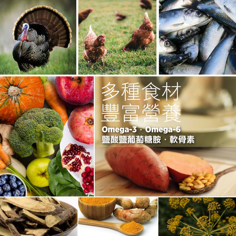 【拉拉寵物小舖】紐崔斯 貓飼料 養生無穀系列 無穀養生成貓(六種魚)2.5公斤, , large