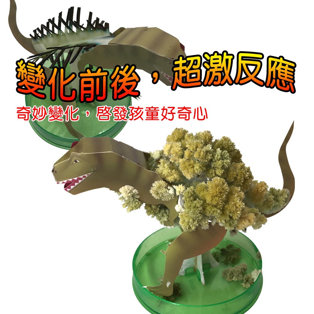 金德恩 GS MALL 台灣製造 魔法開花成長恐龍樹 開花恐龍樹 恐龍樹 裝飾恐龍 開花樹 暴龍 神奇開花 成長樹 居家裝飾, , large