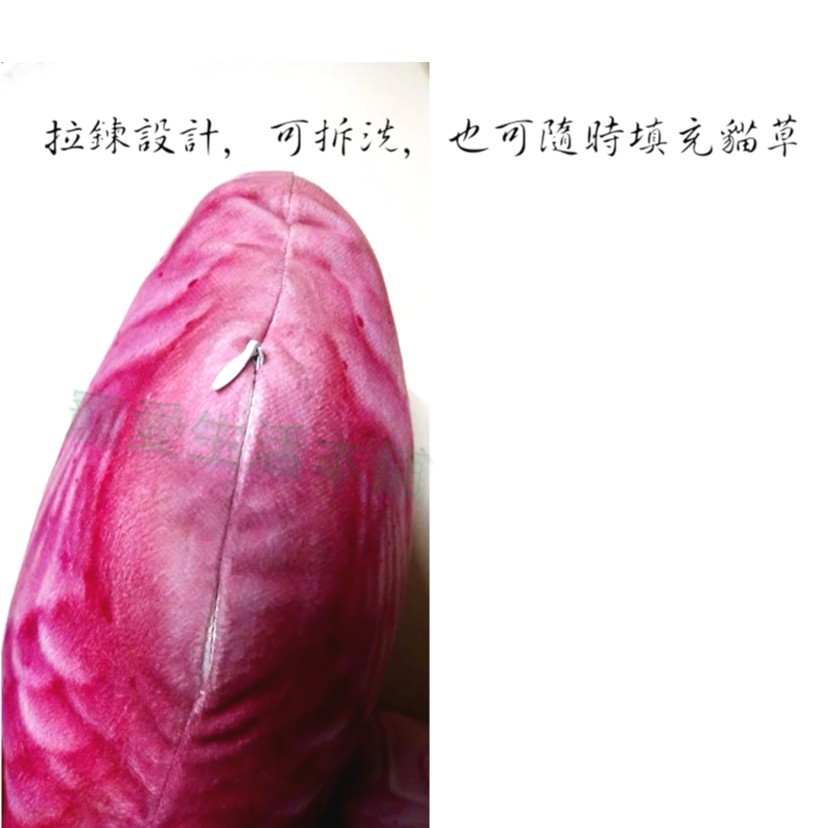 【寵愛生活本舖】仿真鯛魚燒貓草包 原味 櫻花 貓草玩具 貓薄荷 抱枕 貓咪絨毛玩具, , large