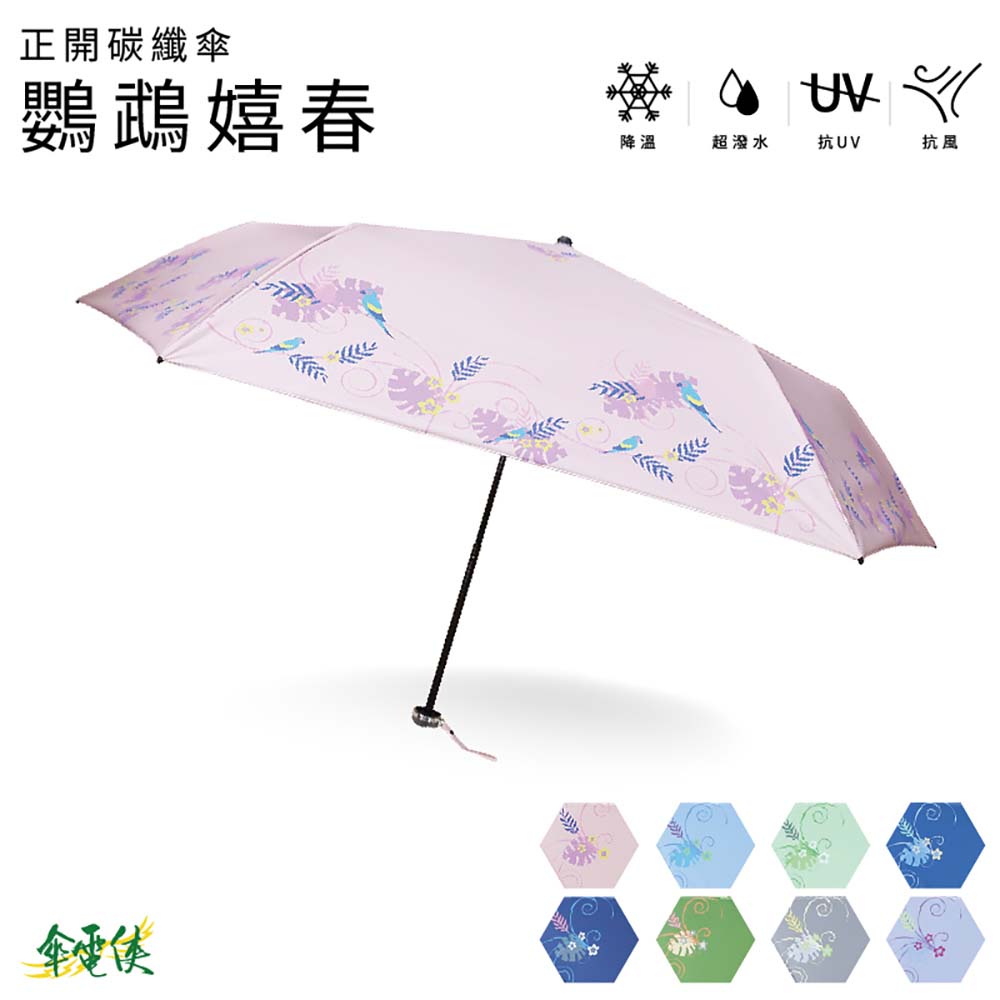 【傘電俠】  超輕量碳纖傘－鸚鵡嬉春, , large