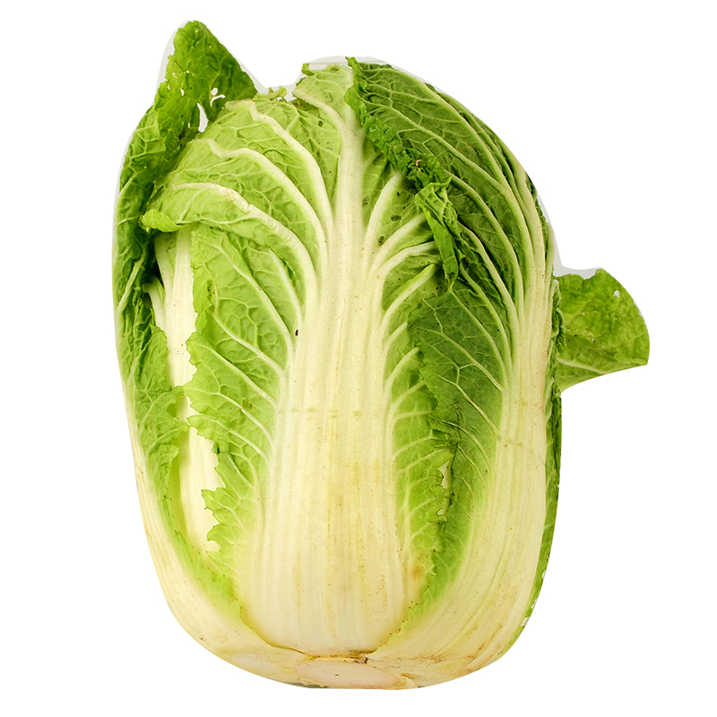 Imported Shan Ton Chinese Cabbage, , large