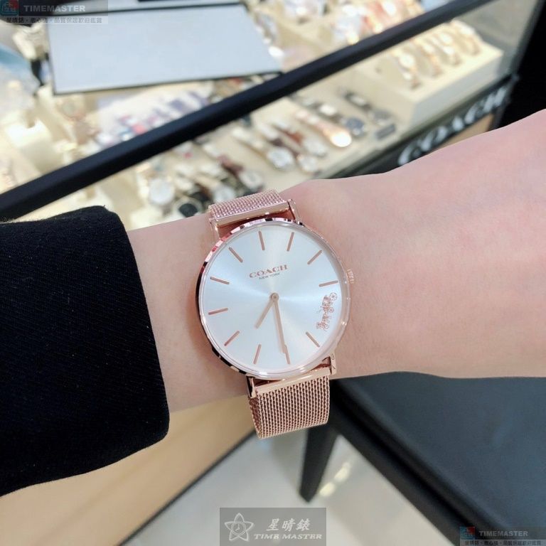 [TIMEMASTER] COACH watch, 36mm, CH00113, , large