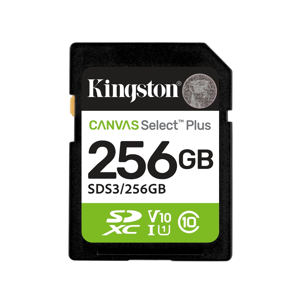 Kingston SD Card, , large