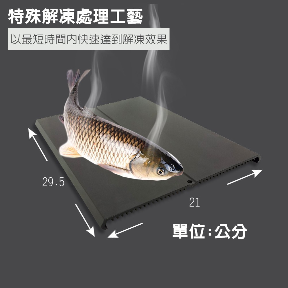 金德恩 GS MALL 台灣製造 一入 急速解凍盤 解凍盤 解凍板 急速盤 解凍器 快速解凍板 解凍料理 料理解凍盤, , large