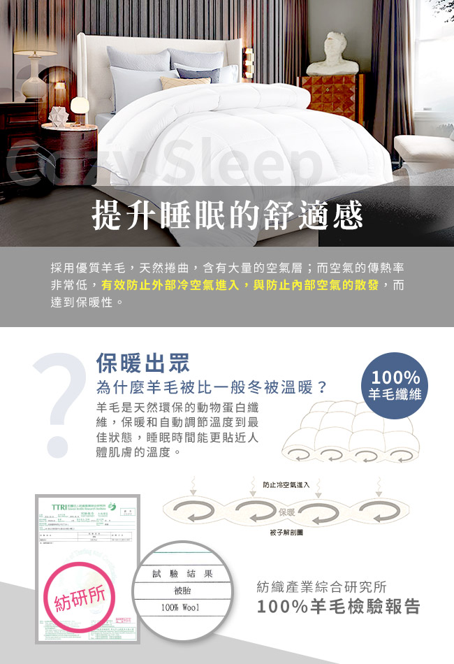 Hilton希爾頓-五星級奢華風100%優質喀什米爾小羔羊毛被2.5kg, , large