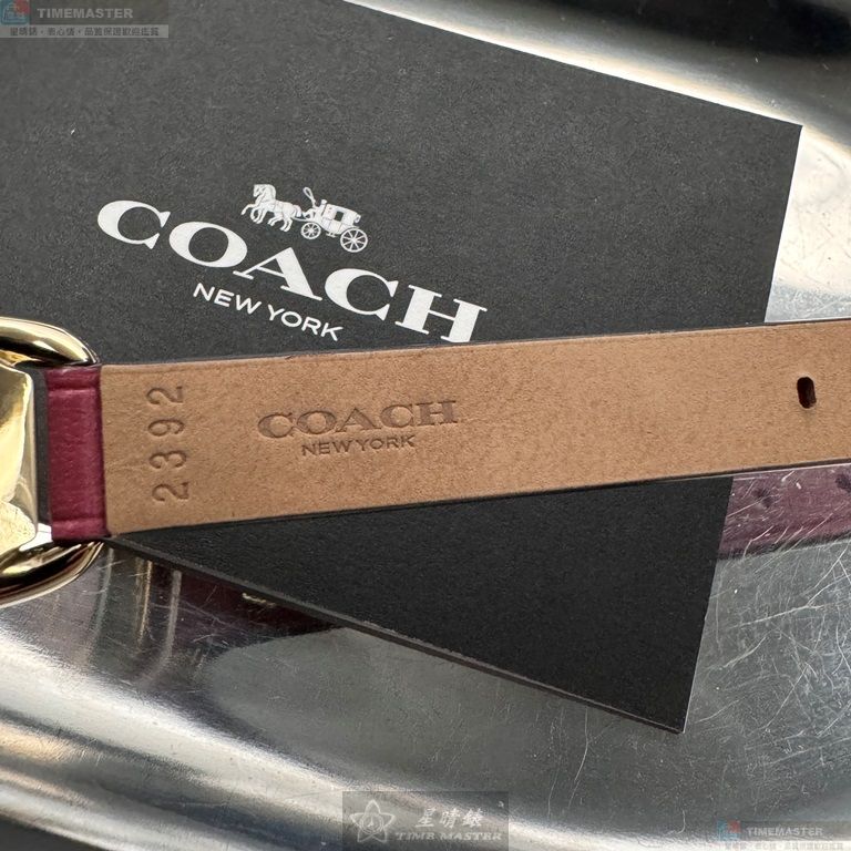 [TIMEMASTER] COACH watch, 18mm, 28mm, CH00239, , large