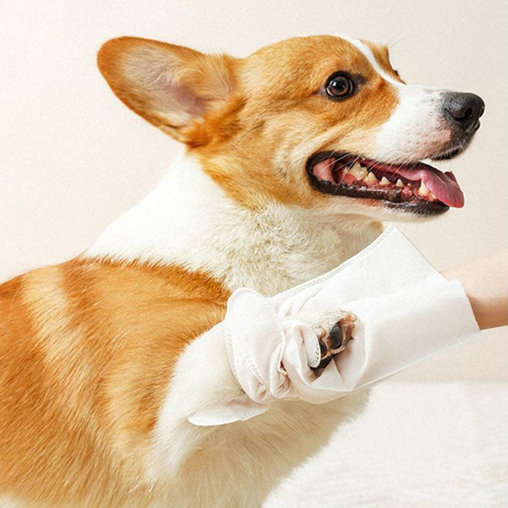 pets-cleansing-wipes, , large