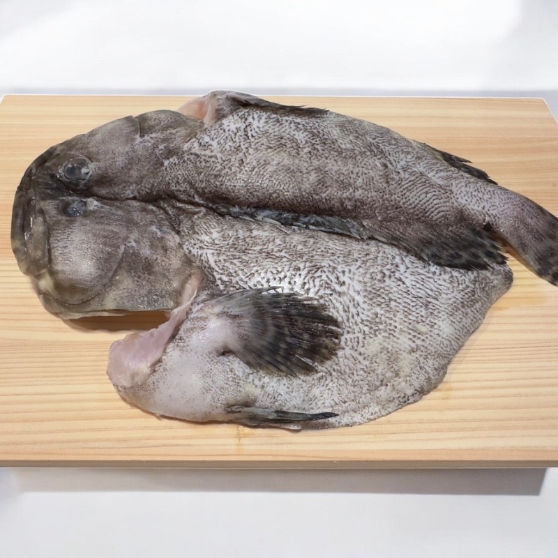 Grouper, , large