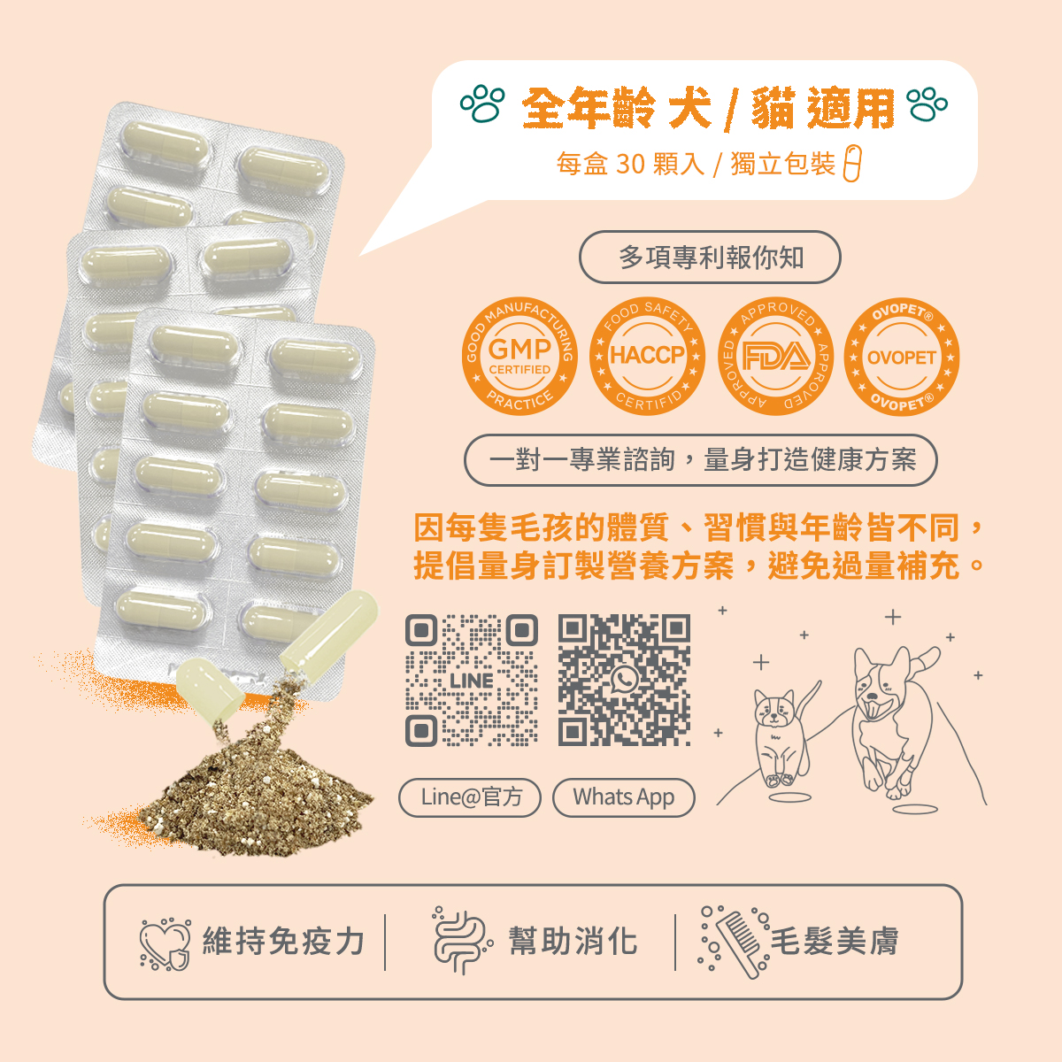 ［營活著］＜全面升級版＞ -【多國專利】護關節 MSM+(綠唇貽貝強化配方）靈活 強化 骨骼肌肉保養, , large