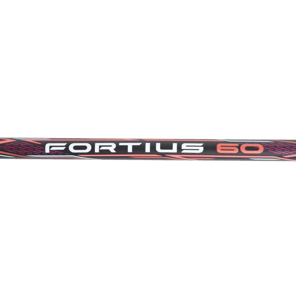 [秉宸] MIZUNO FORTIUS 60 羽球拍 73JTB360, , large