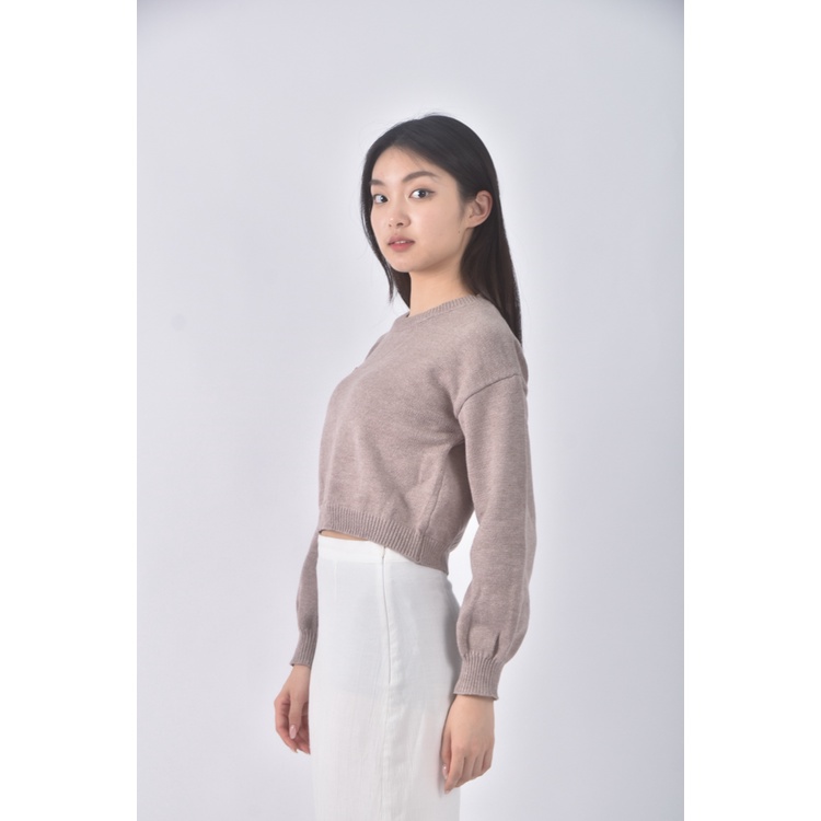 (S) gorgeous修身短版棕色長袖上衣二手衣, , large