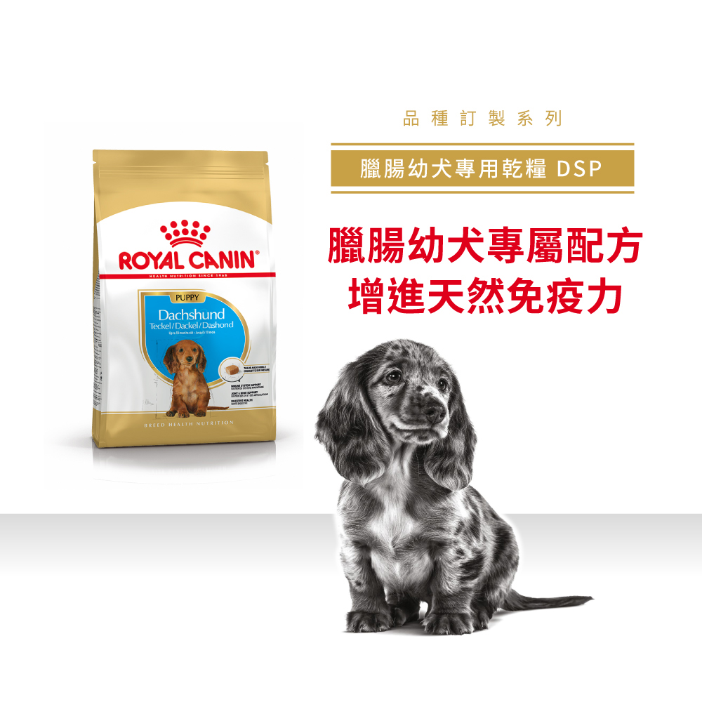 【Royal Canin法國皇家】臘腸幼犬DSP, , large