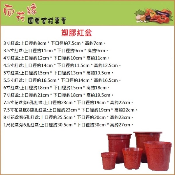 Plastic Red Pot / Cultivation Pot / Dutch Pot / Seedling Pot&ndash;7 inch, , large