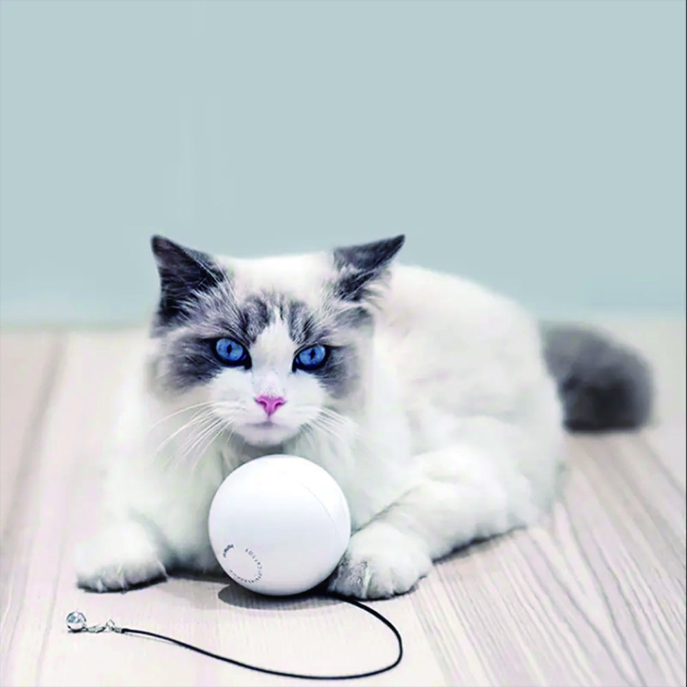 Homerunpet Smart Pet Magic Ball, , large