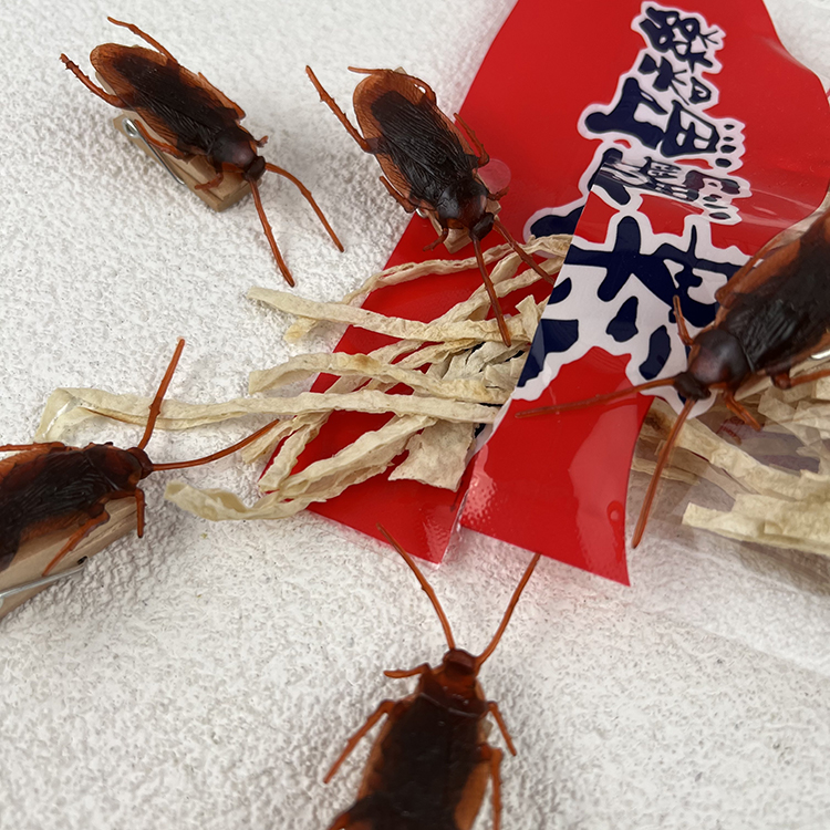 cockroach-clip, , large
