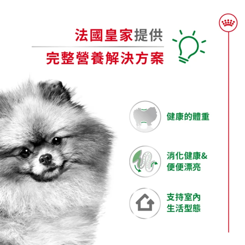 【Royal Canin法國皇家】小型室內成犬MNINA, , large