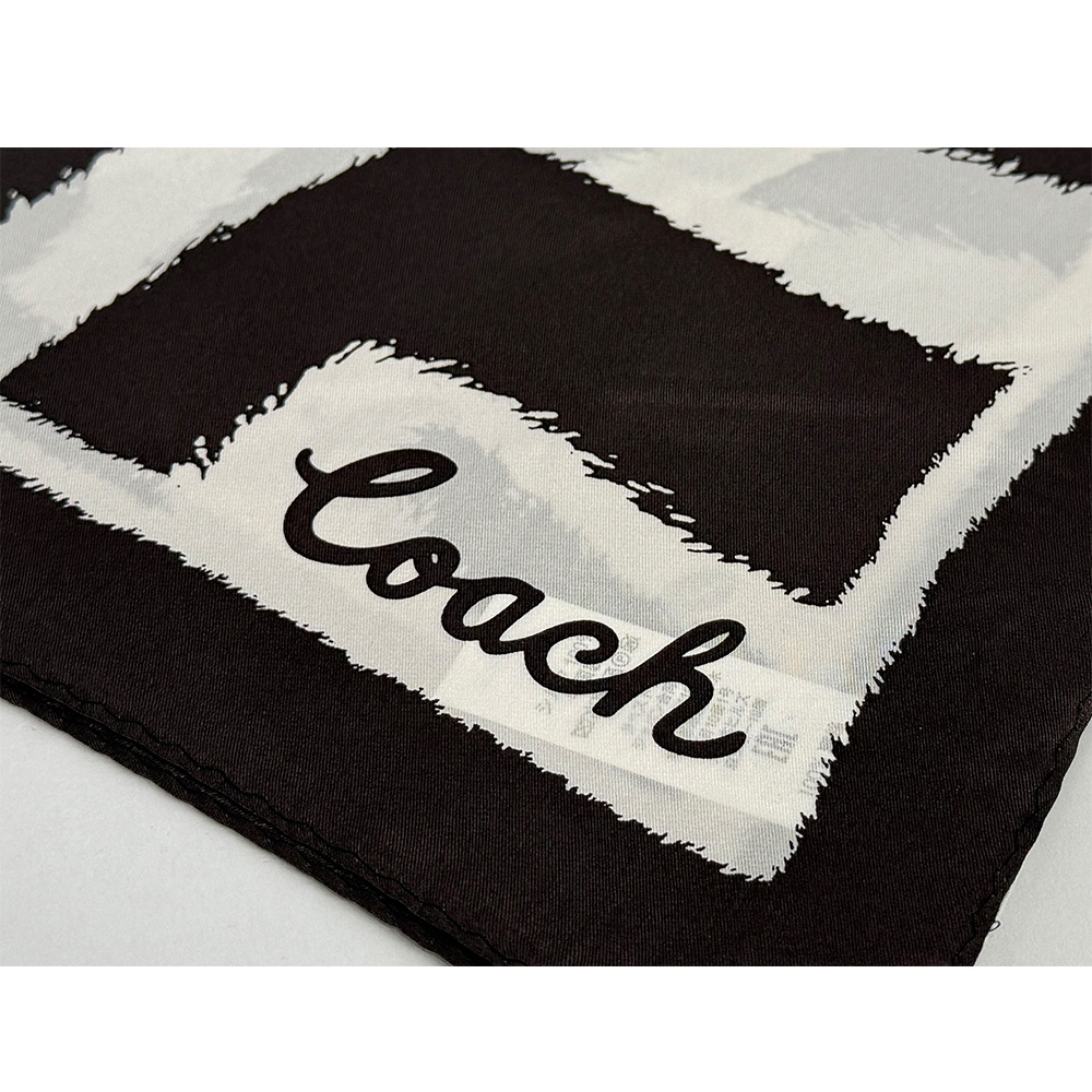 COACH 斑馬條紋圖案真絲方巾/白色/深咖啡色, , large