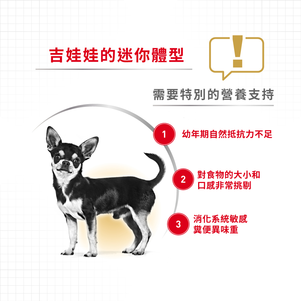 【Royal Canin法國皇家】吉娃娃幼犬CHP, , large