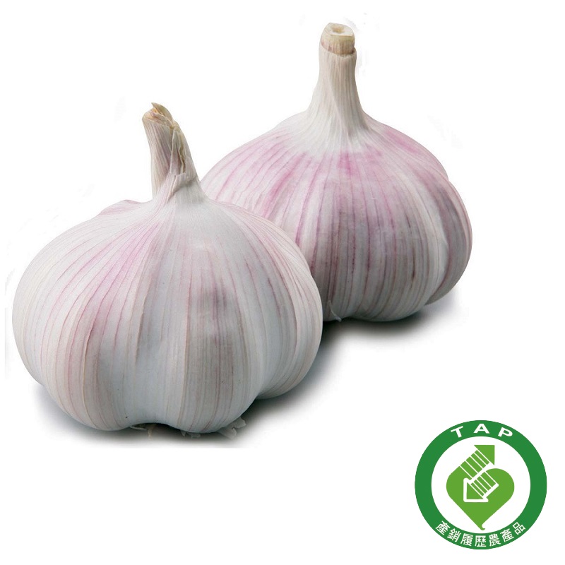 履歷蒜頭300g/袋, , large