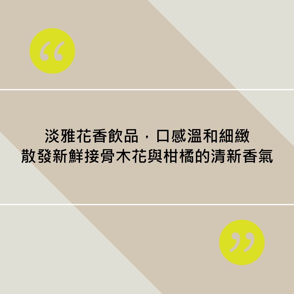 【Folkington's】, , large