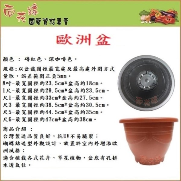 European Pot / Embossed European Pot / Round Pot (Brick Red) - 1 ft, , large