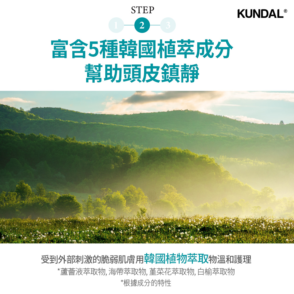 KUNDAL全效去屑洗髮乳-蘋果綠茶, , large