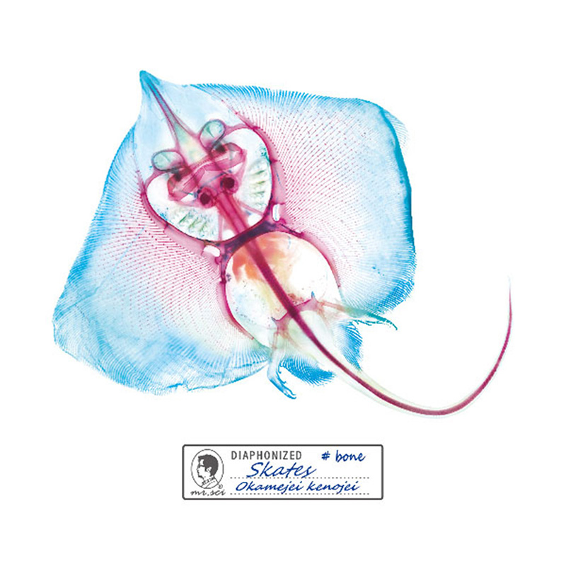 解析透明魚玻璃杯墊(鰩(2片/套)), , large