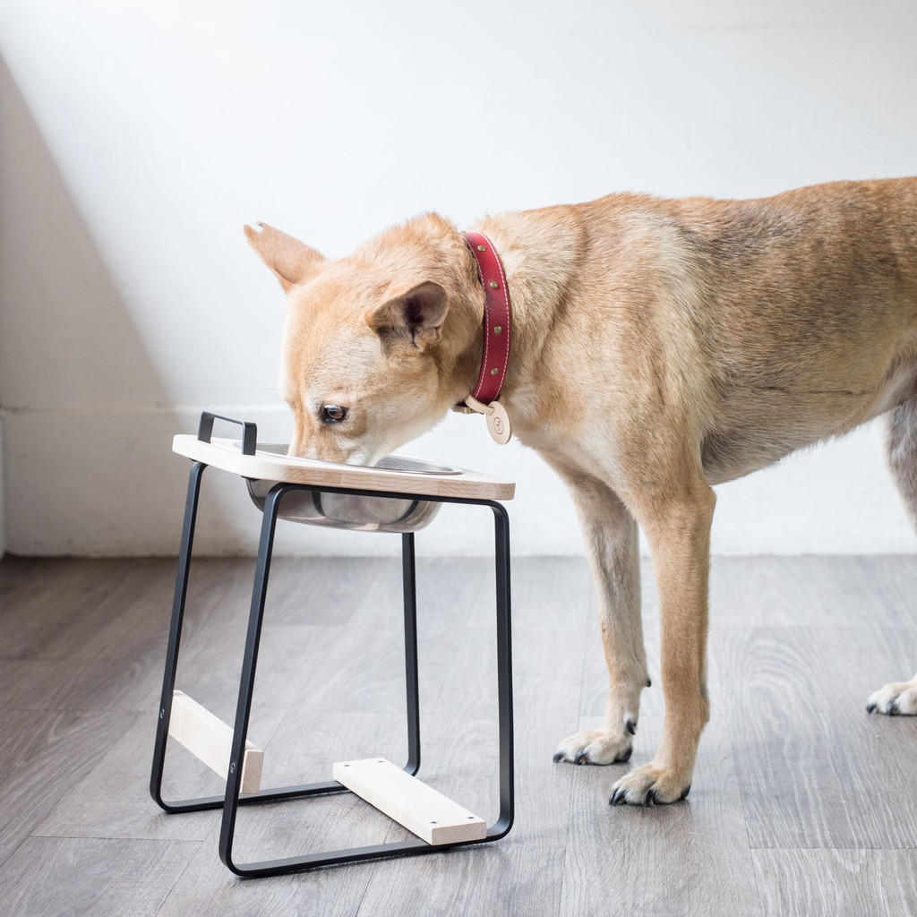 【paipaipets】 Natural Wood Elevated Pet Bowl - L/Maple, , large
