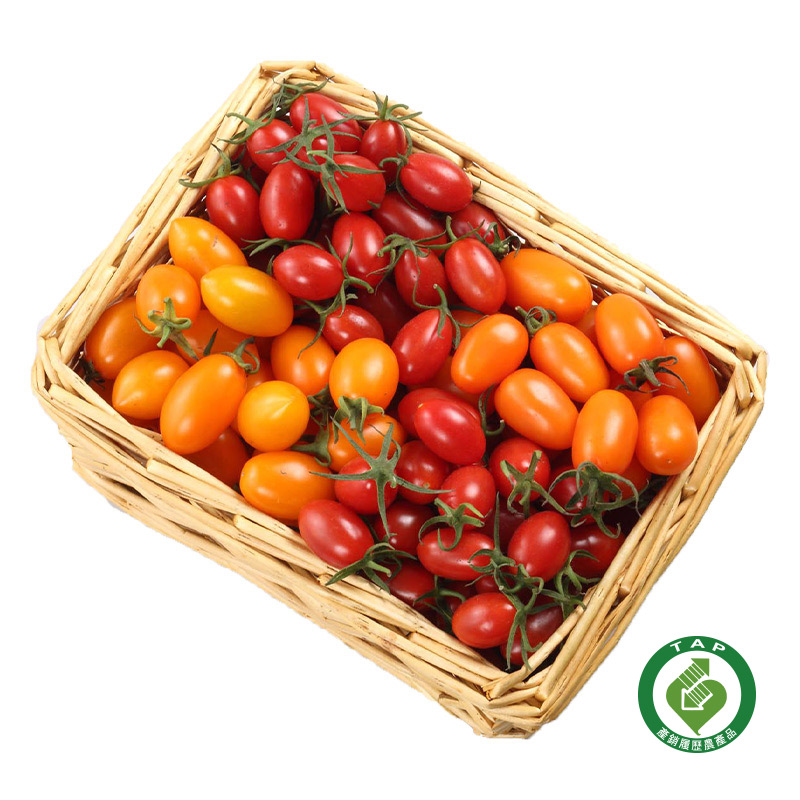 TAP Golden Yunu Cherry Tomato, , large