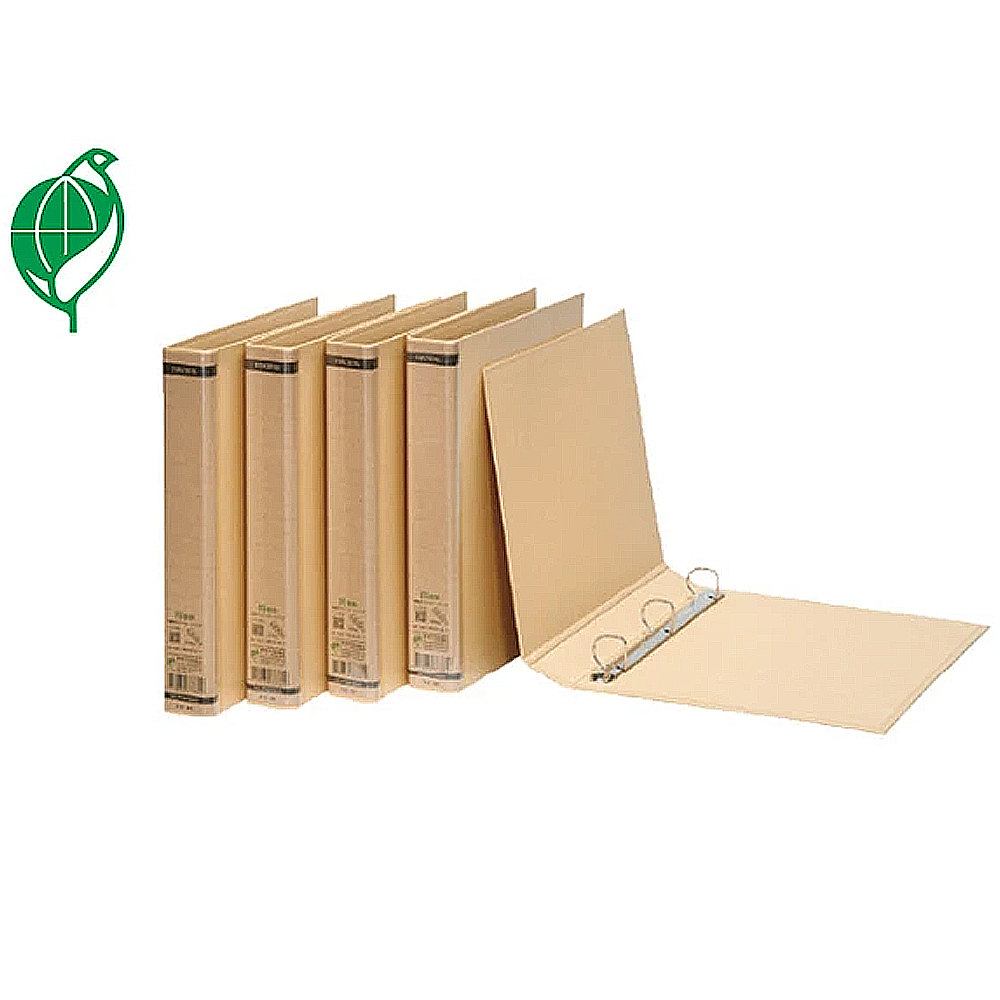 Environmentally American 3-hole D File