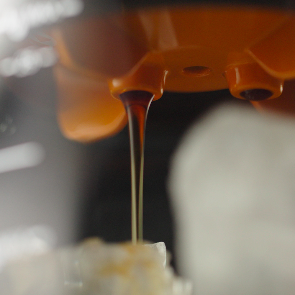 CT10006+CT20001, , large