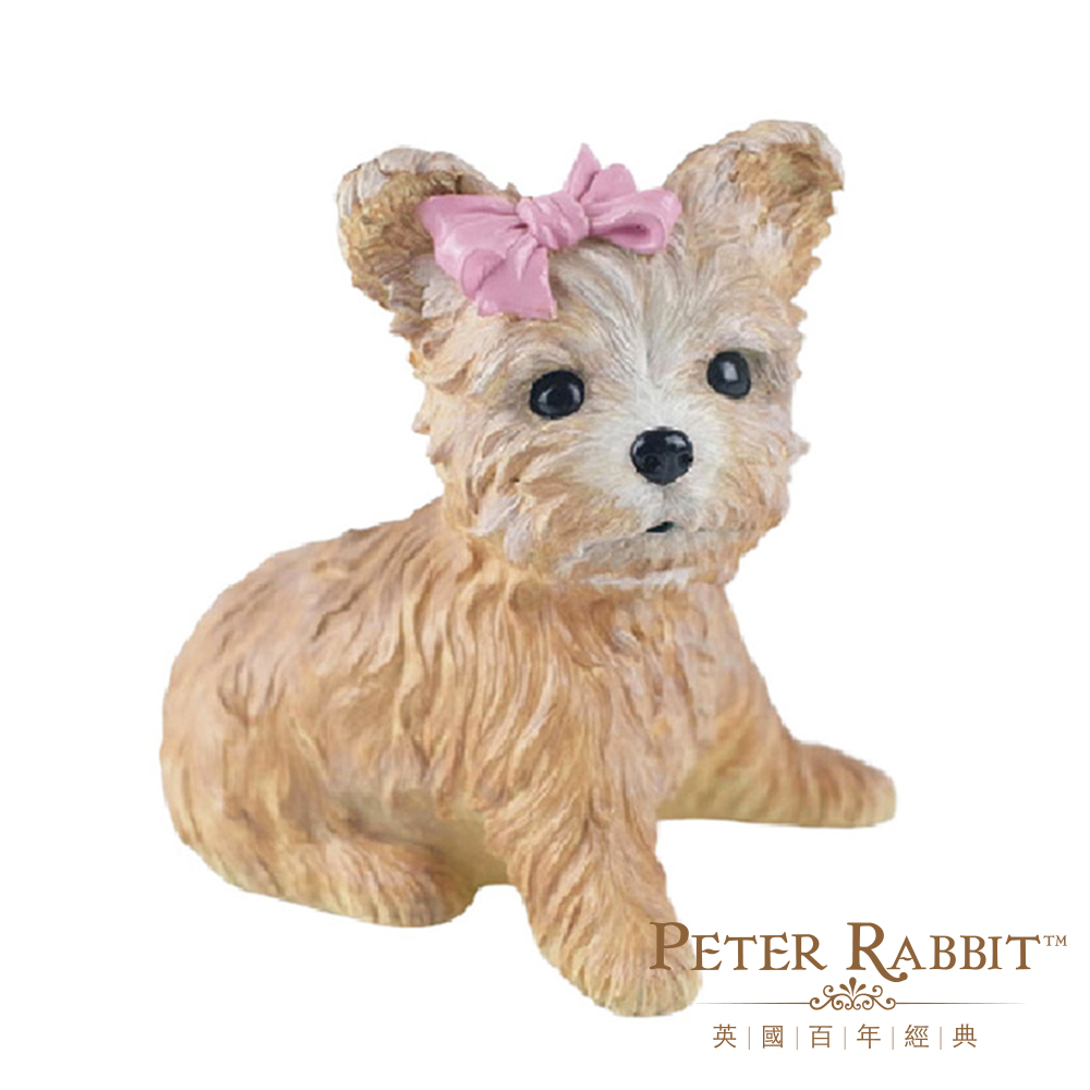 Peter Rabbit, , large