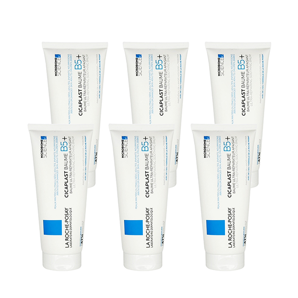 LA ROCHEPOSAY, , large