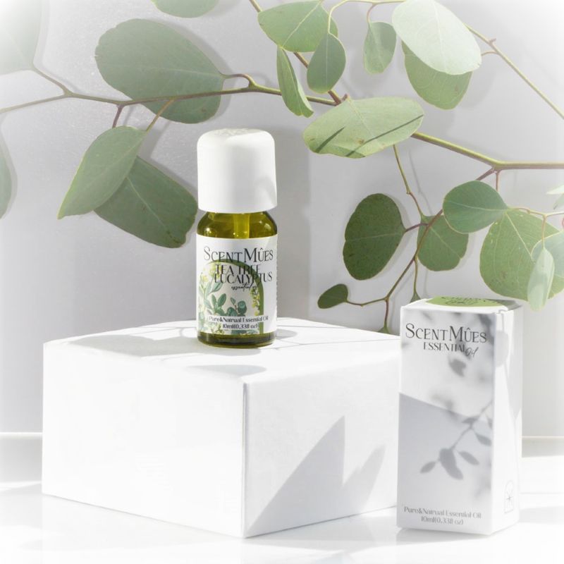 Tea Tree vs Eucalyptus, , large