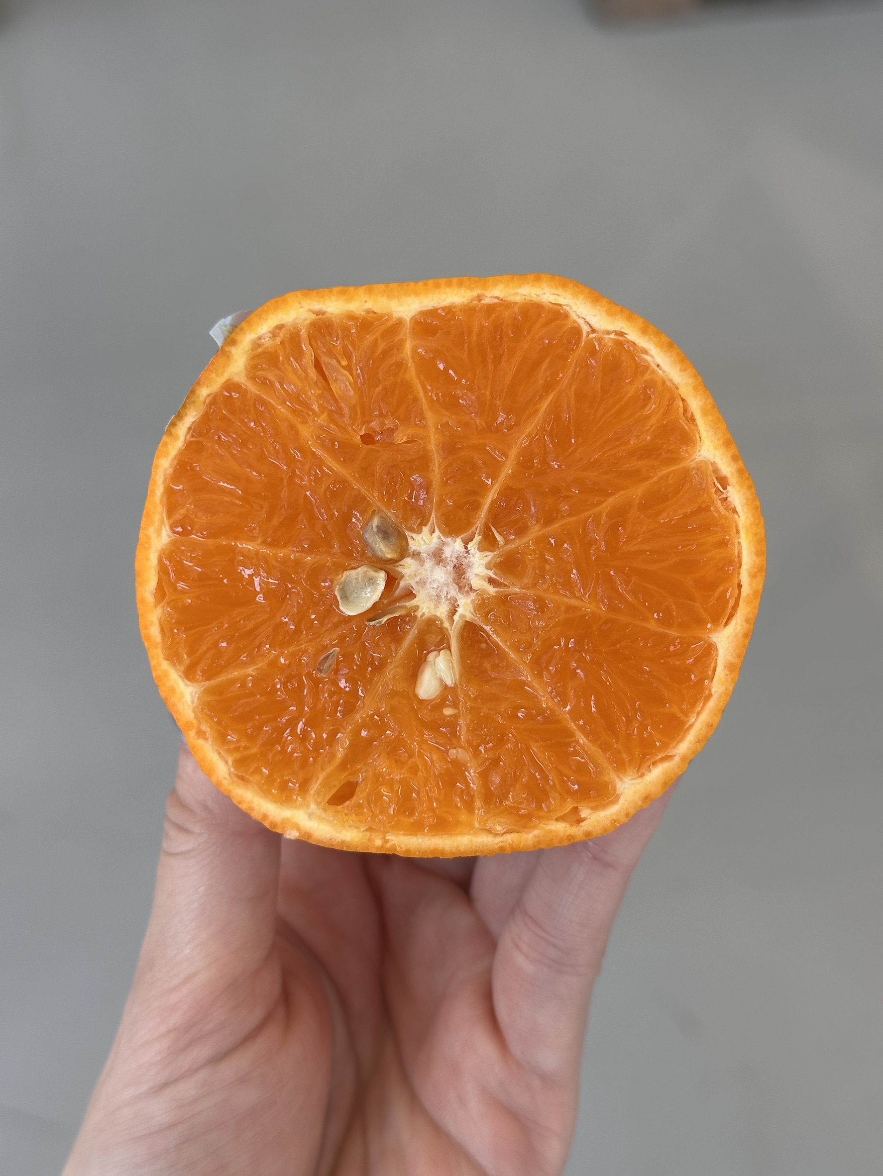 [芯鮮果]澳洲進口 ( 茂谷柑 ), , large