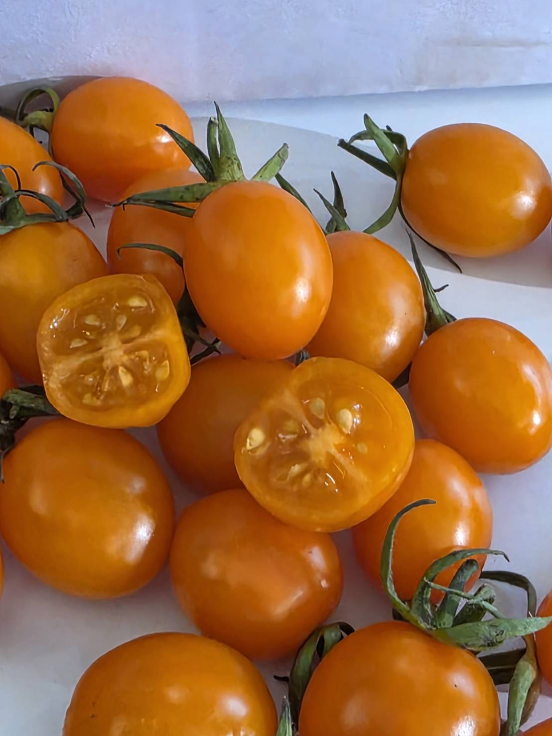 Orange Cherry Tomato, , large