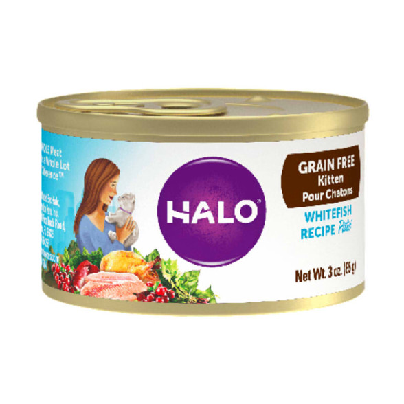 HALO, , large
