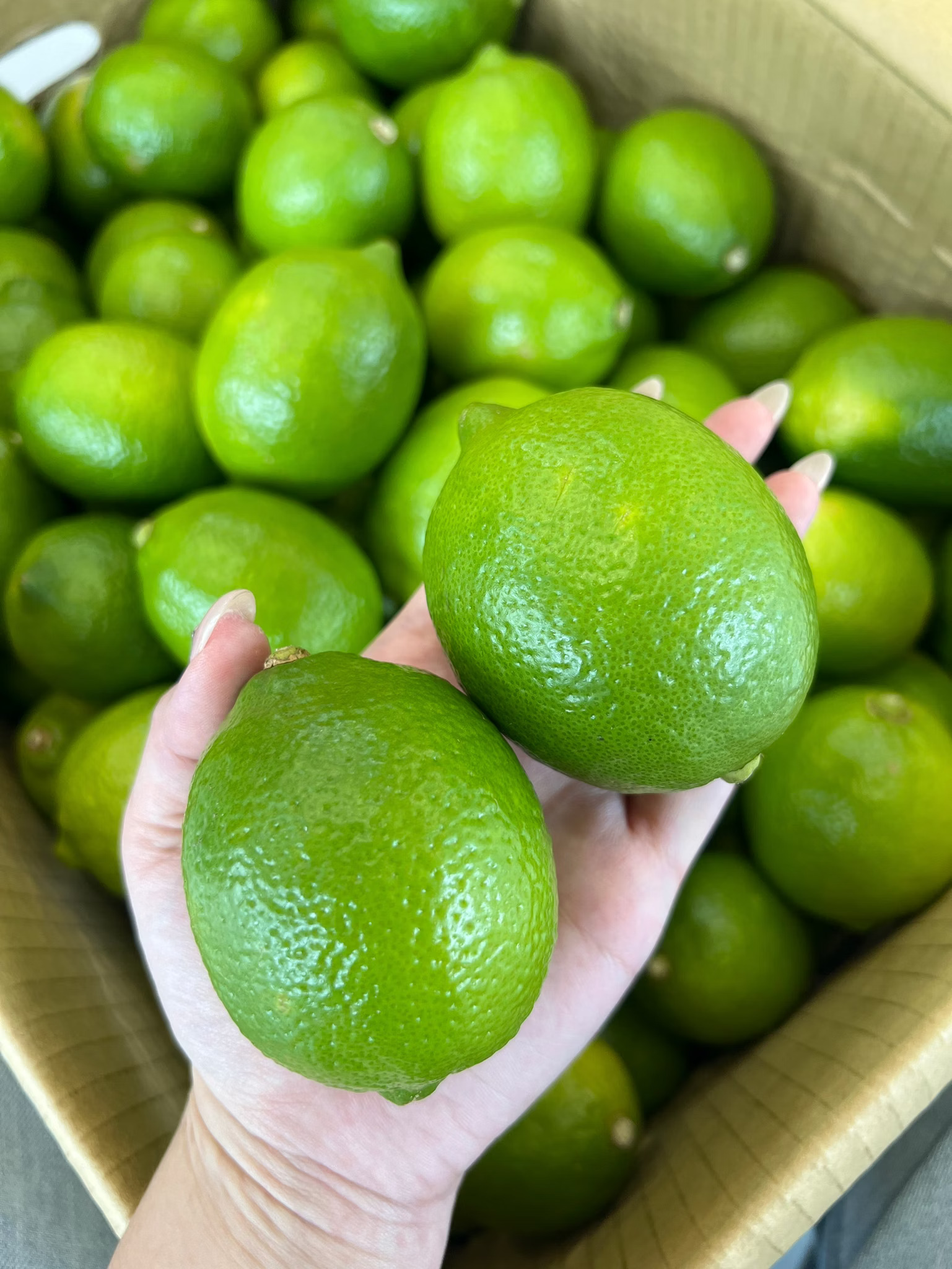 [芯鮮果]台灣嚴選( 檸檬 ), , large