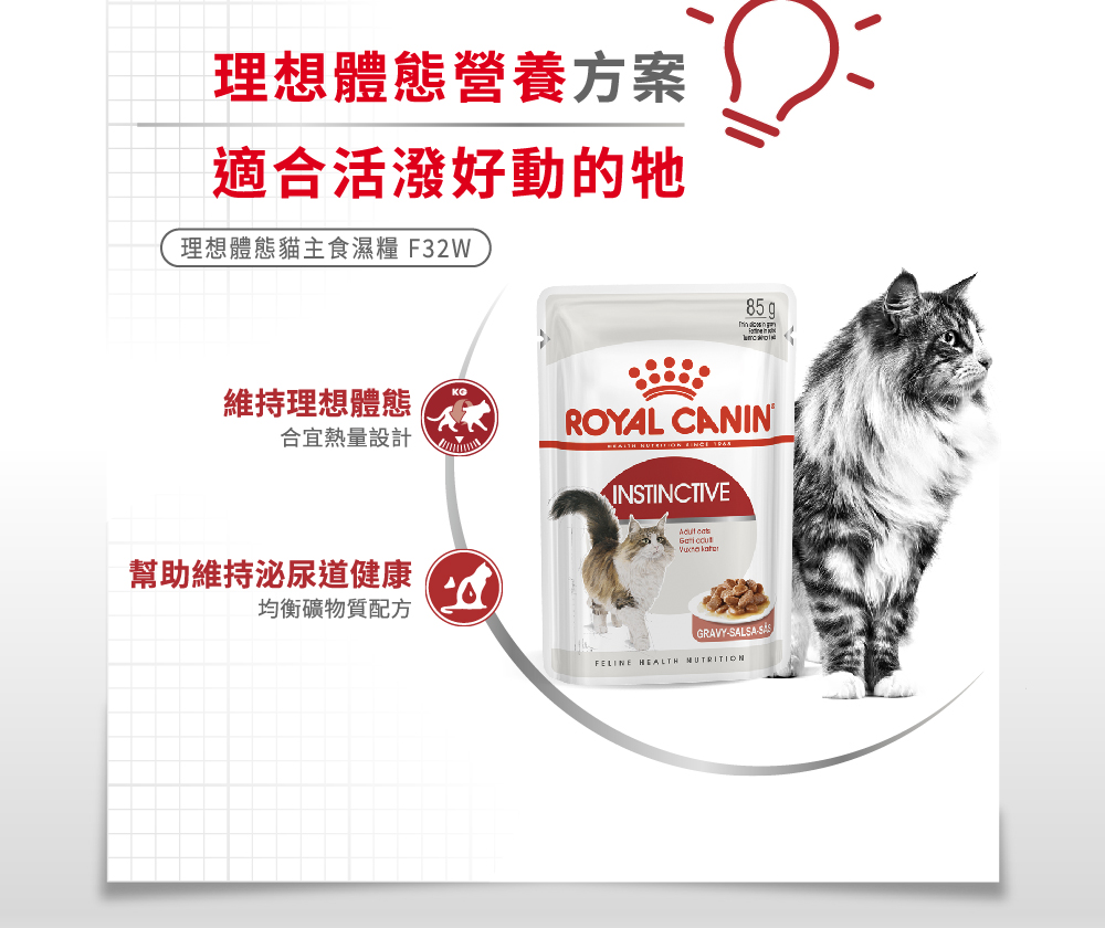 Royal Canin, , large