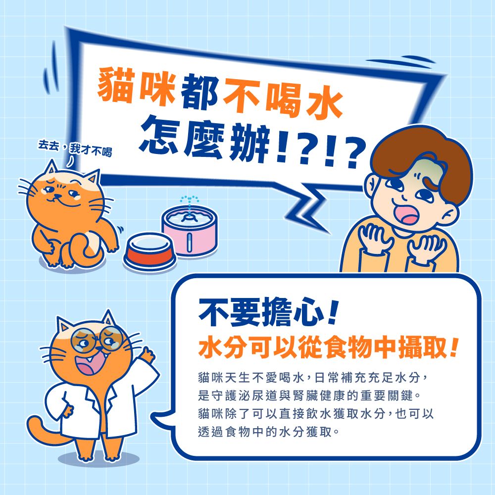 【拉拉寵物小舖】PAW PAW LAND 肉球世界 補水炸彈 主食餐包 貓餐包, , large