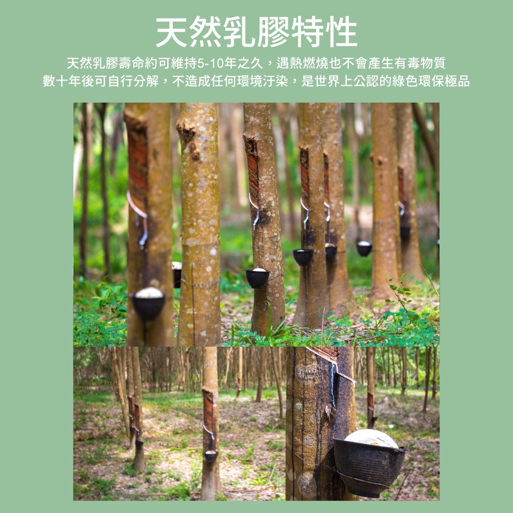 【Arnold Palmer雨傘牌】台製單人3尺5cm 防蟎抗菌 天然乳膠床墊, , large