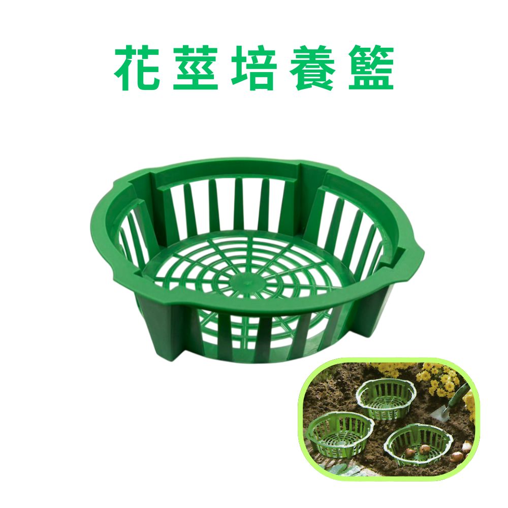 金德恩 GS MALL 台灣製造 花莖培養籃 球莖種植籃 球根花卉籃 花球莖籃 洋蔥植物籃 花球莖碗 植物碗 繁殖托盤