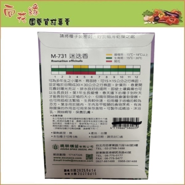 Skystar Rosemary &ndash; Herb Seeds, , large