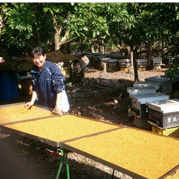 [皇廷] A級高山茶花蜂花粉 1000g真空補充包, , large