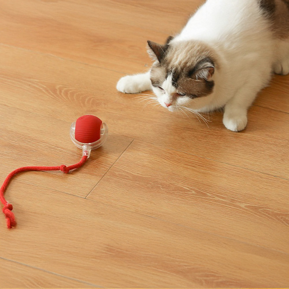 automatic-cat-teasing-ball, , large