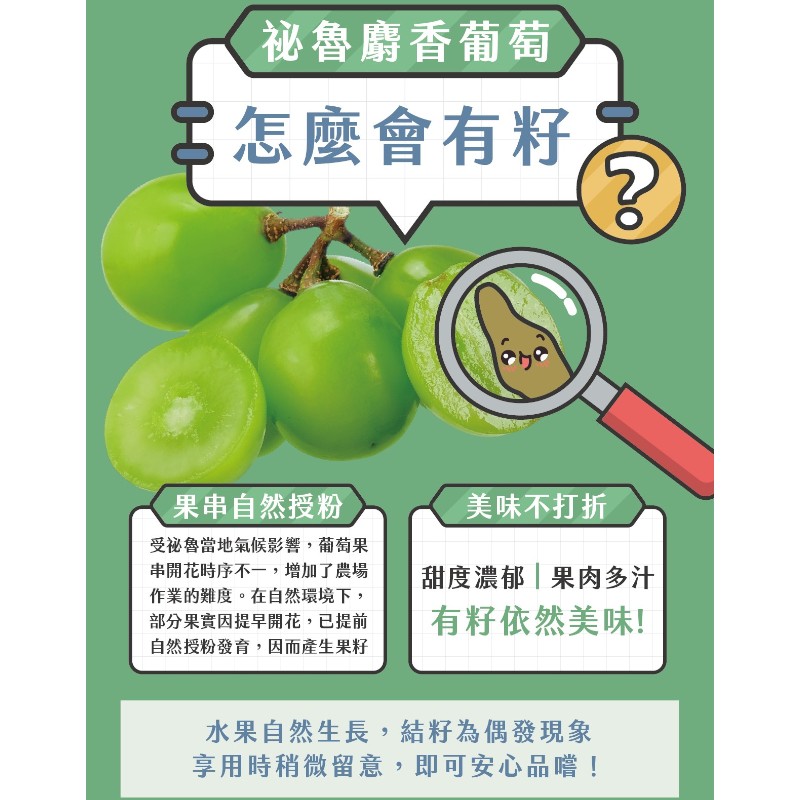 imported Muscat Grapes , , large