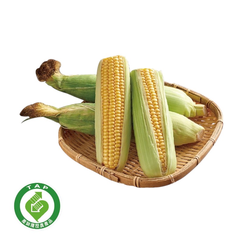 履歷玉米2入-進, , large